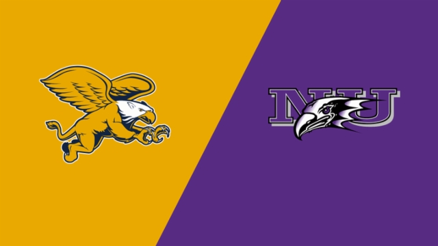 世界杯历史上最激烈的比赛红黄牌纪录及无牌之战对比分析